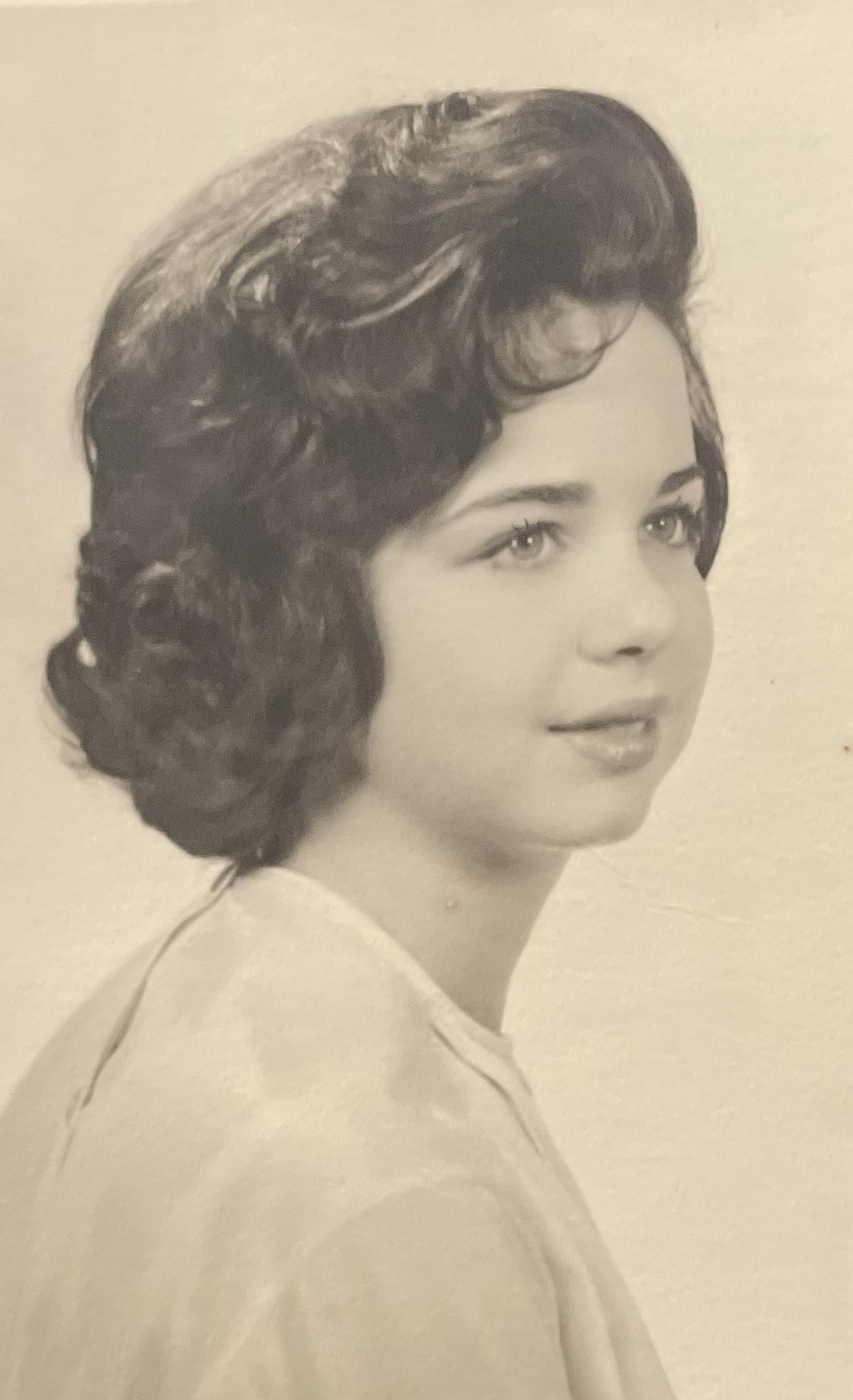 Denise O'Brien Garbarino