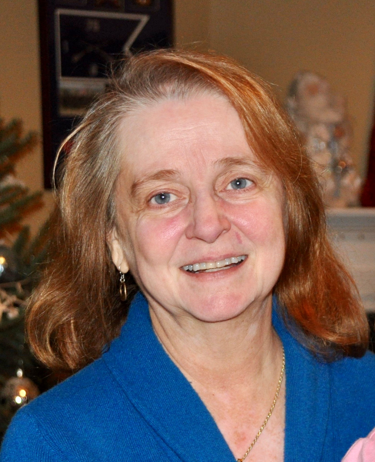 Carolyn Diane Sanks Ayres